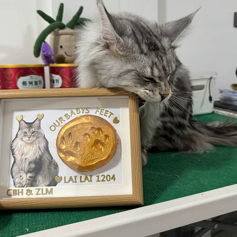 DIY Pet Paw Print Photo Frame Kit - Mess-Free Ink Pad Memorial Keepsake for Dogs & Cats